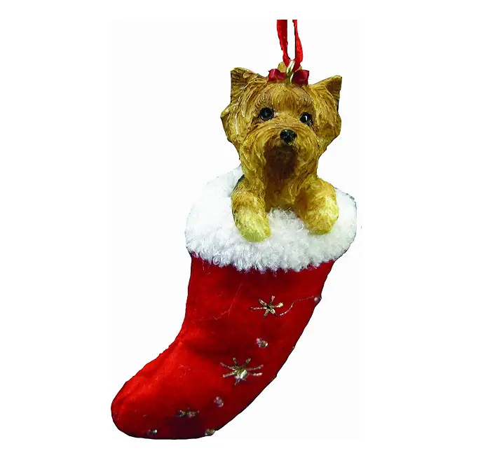 A Yorkshire Terrier in a sock christmas tree ornament