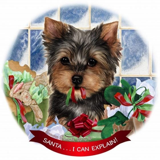 18 Best Gifts for Yorkie Lovers The Paws
