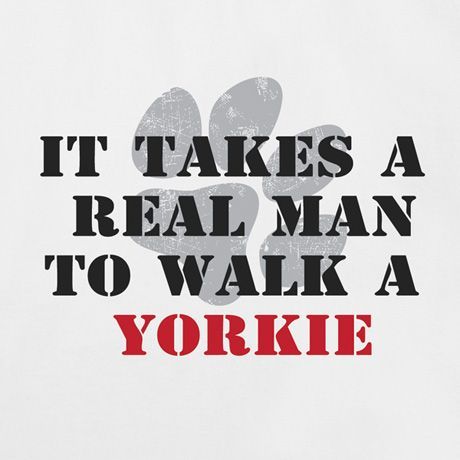 Yorkie quote 