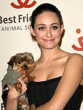 EMMY ROSSUM holding her Yorkshire Terrier