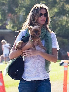 GISELE BUNDCHEN walking at the park while holding her Yorkshire Terrier