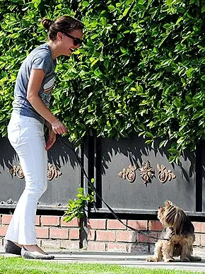 NATALIE PORTMAN laughing at her Yorkshire Terrier sitting on the concrete at the park