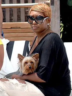 NENE LEAKES sitting on the chair while her Yorkshire Terrier is lying in her lap