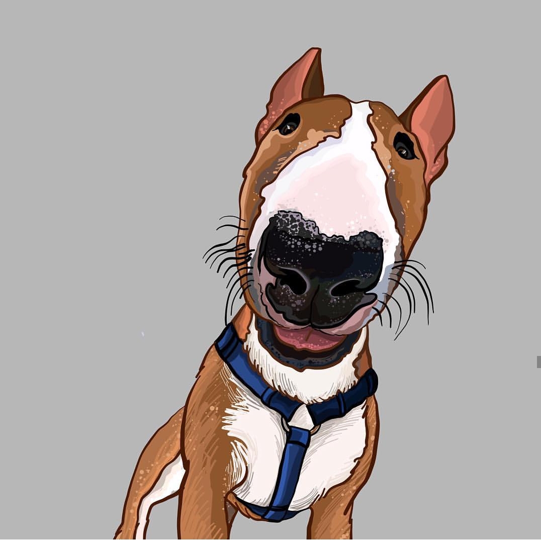 animated photo of an English Bull Terrier