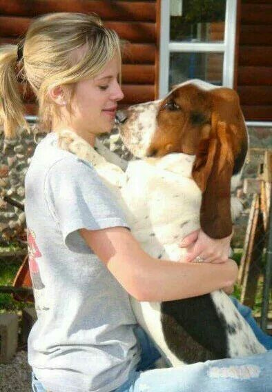 girl kissing a Basset Hound dog