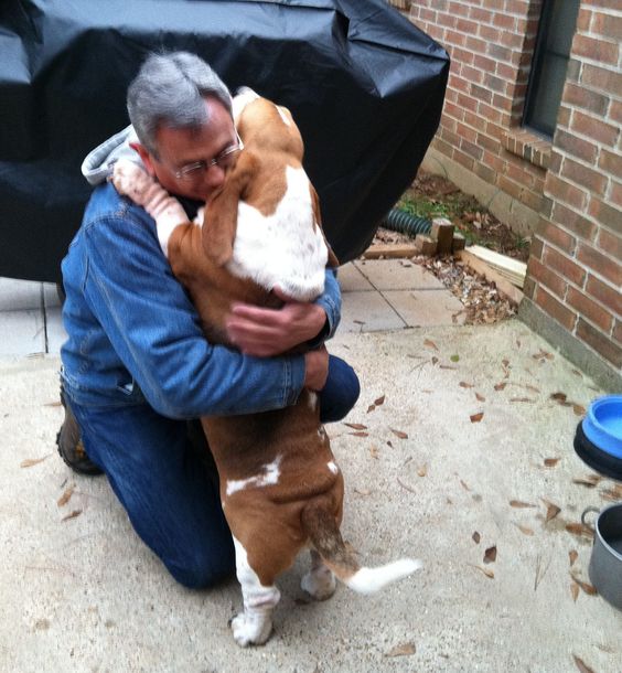 a man kneeling on the floor while hugging a Basset Hound puppy