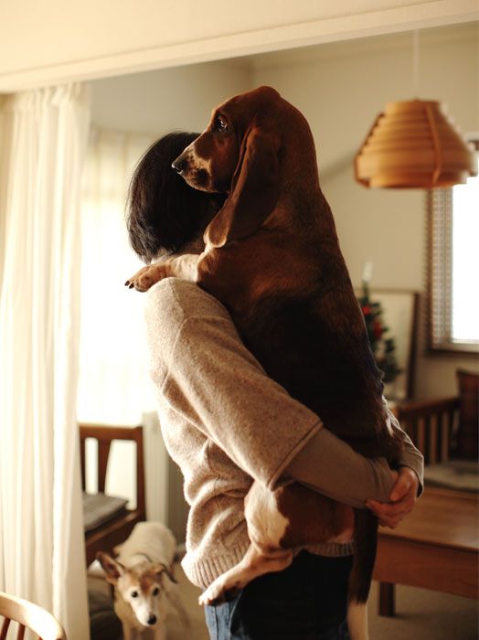 girl carrying a Basset Hound dog