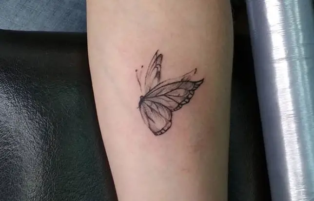 shade butterfly tattoo on arm