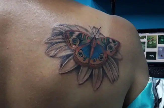 Colorful butterfly on top of the flower tattoo on the shoulder