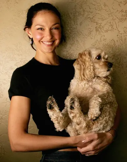 Ashley Judd carrying her Cocker Spaniel