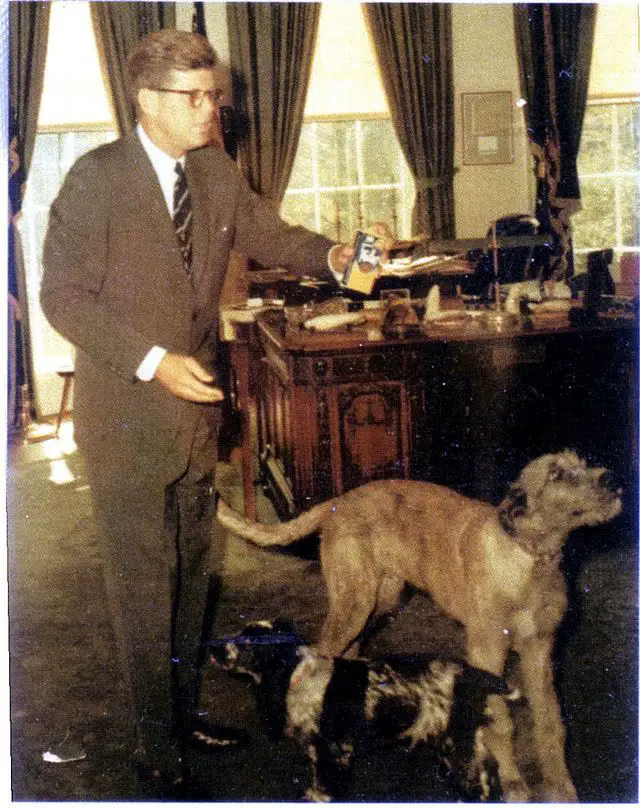 John F. Kennedy inside his office with his Cocker Spaniel