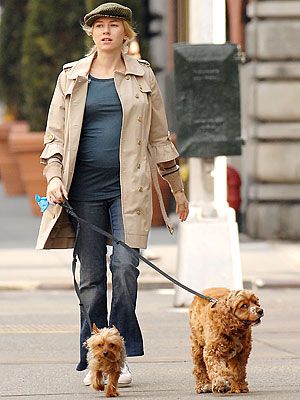 Cocker Spaniel walking in the street with her Cocker Spaniel and yorkie