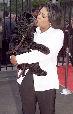 Oprah Winfrey carrying her black Cocker Spaniel while talking to her