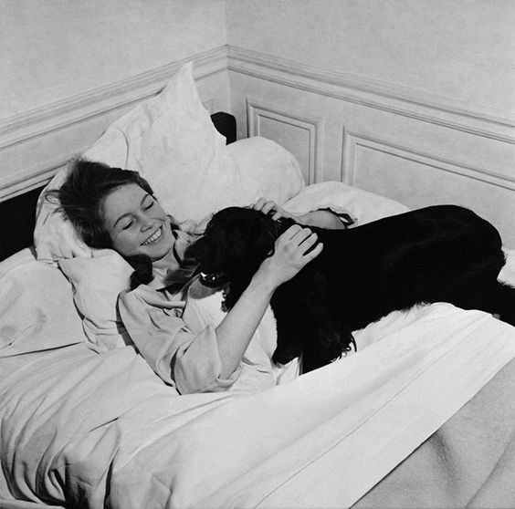 Brigitte Bardot lying on its bed while petting her Cocker Spaniel
