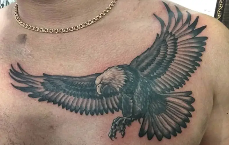 soaring black and gray Eagle Tattoo on the chest