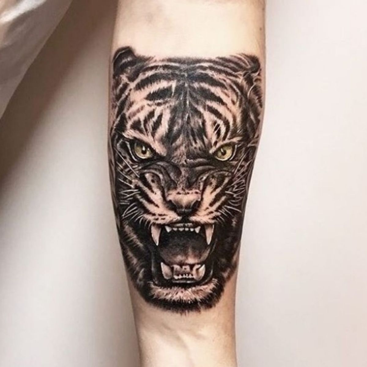 70 Best Tiger Tattoo Design Ideas - The Paws 70 Best Tiger Tattoo Design Ideas - The Paws