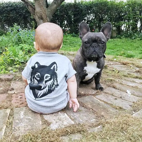 A French Bulldog sitting on the pavement in the front of a child