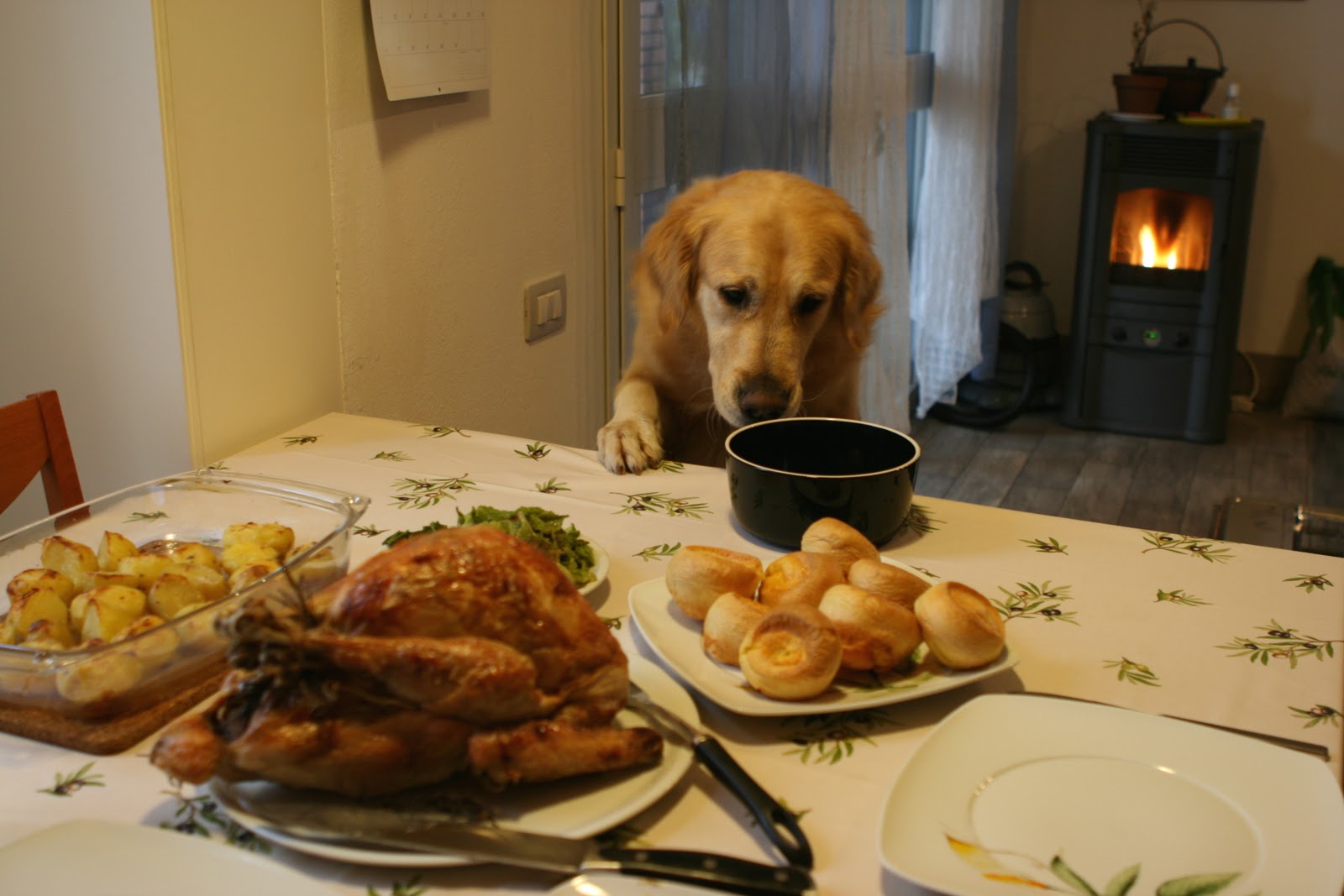 A Golden Retriever staring at the bowl on the table