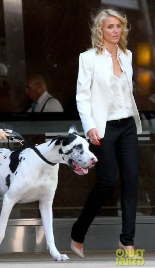 Cameron Diaz walking in the street with a Great Dane
