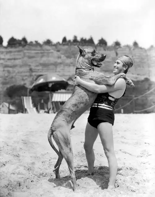 Harold Lloyd standing by the beach with his Great Dane leaning against him