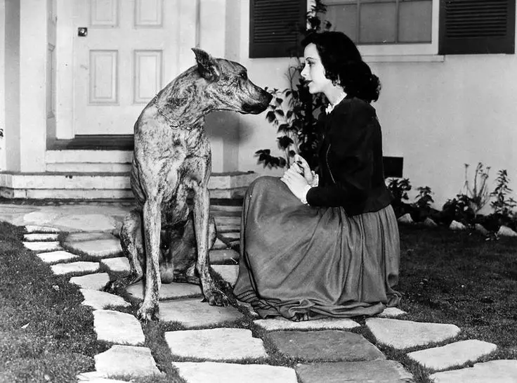 Hedy Lamarr sitting in the front door pavement pathway with a Great Dane