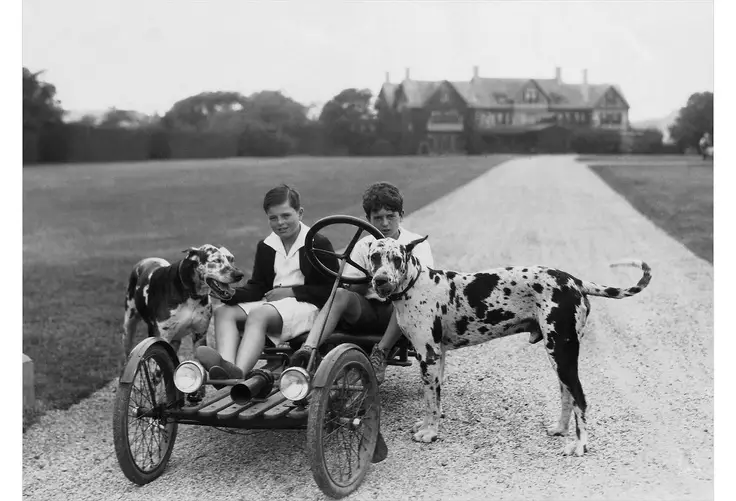 Mark Preston with another boy riding a passenger bike in the road with two Great Danes standing beside them
