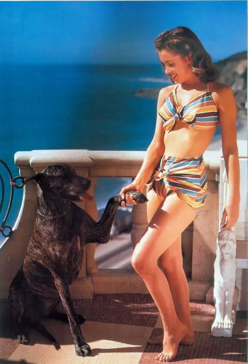 Norma Jeane standing in the balcony while holding the paw of a Great Dane sitting in front of her