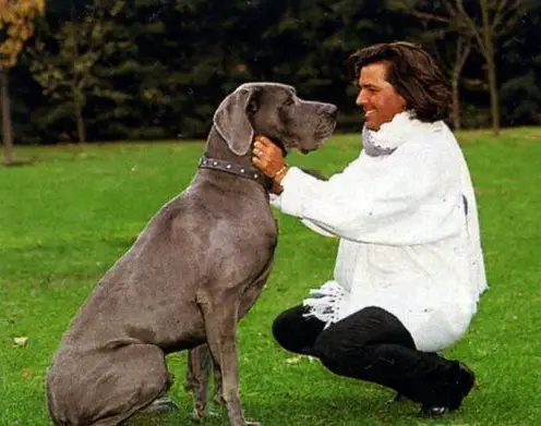 Thomas Anderson petting his Great Dane sitting across him in the yard