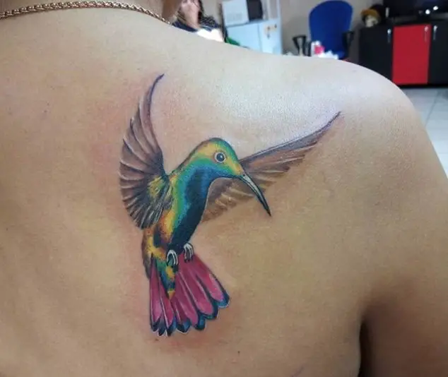 3D colorful hummingbird tattoo on the back