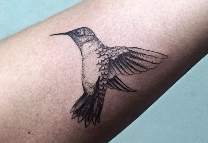 simple hummingbird tattoo on forearm