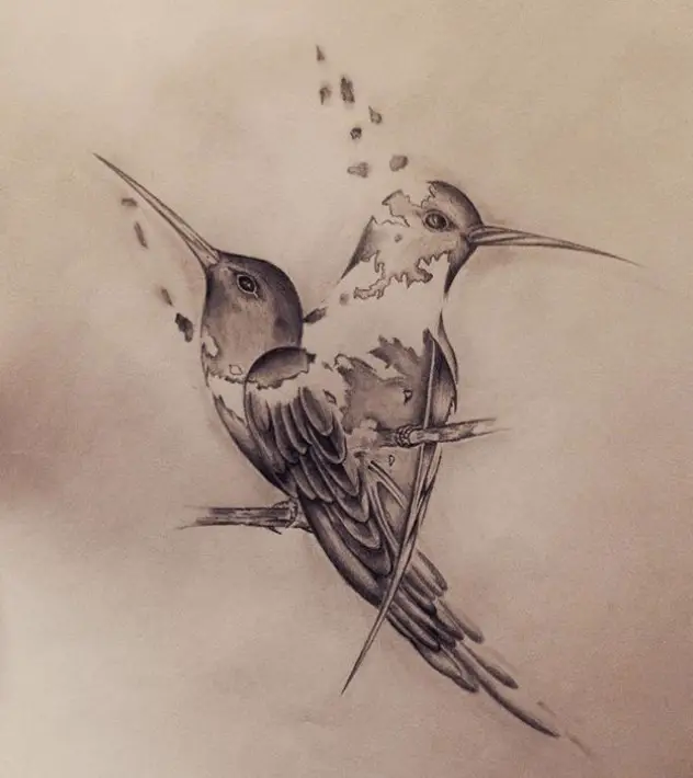 two hummingbird drawing tattoo