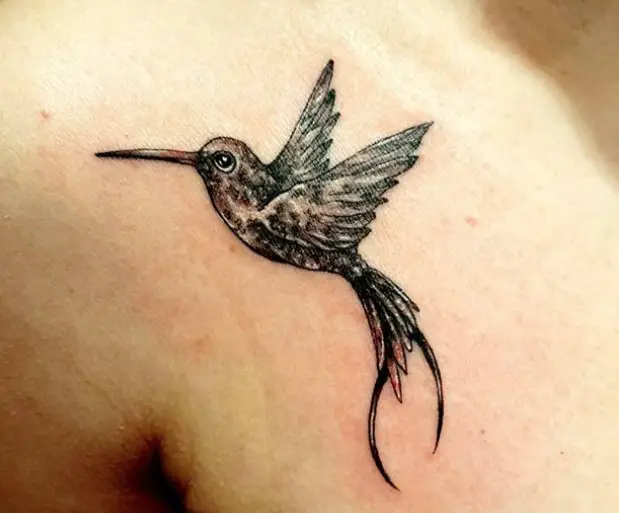 hummingbird with adorable eyes tattoo on shoulder