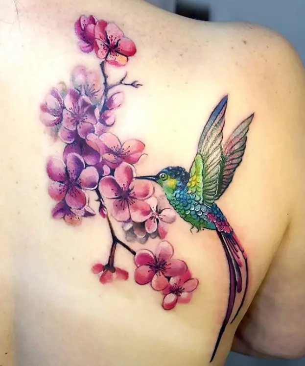 large colorful hummingbird tattoo feeding on pink sakura flowers tattoo on back