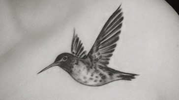 25 Best Small Hummingbird Tattoo Design Ideas The Paws