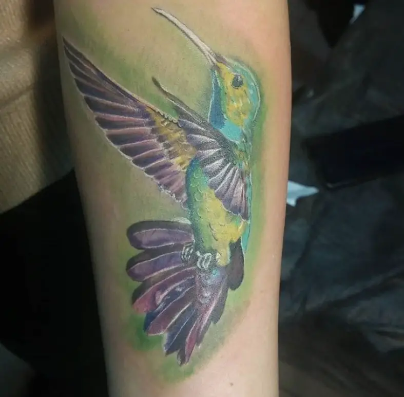 colorful hummingbird with white outline tattoo on the forearm