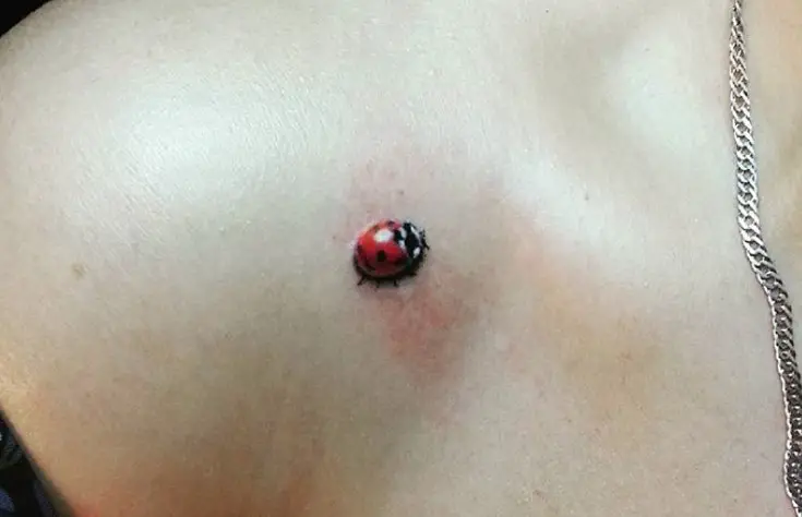 small 3D Ladybug Tattoo on the shoulder