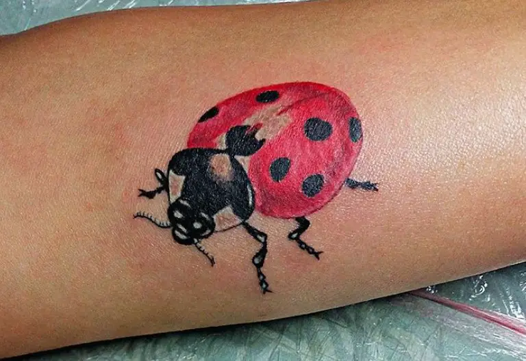 Big ladybug tattoo