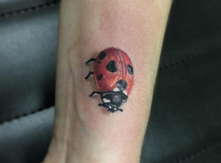 30 Best Ladybug Tattoo Design Ideas  The Paws