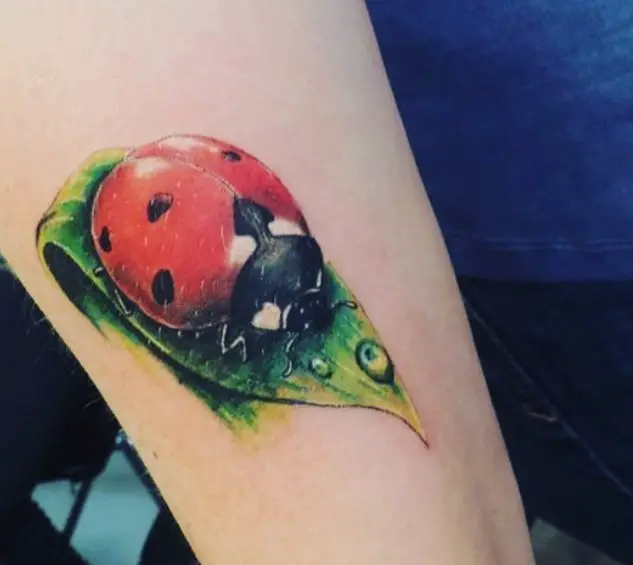 large Ladybug on a leaf Tattoo tattoo