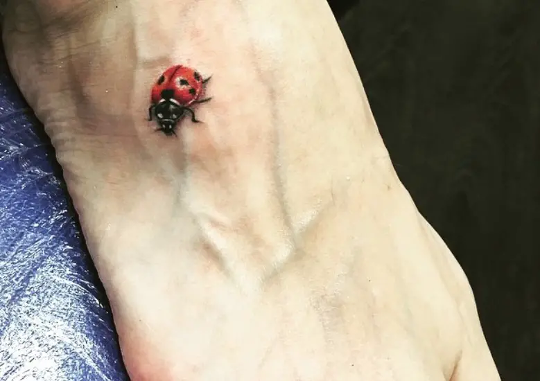 small 3D Ladybug Tattoo on foot