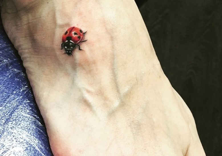 LADYBUGS Temporary Tattoo Ladybird Couple Tattoo Bug  Etsy New Zealand