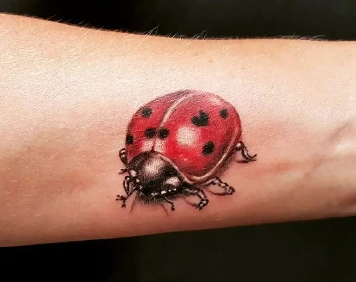 Big 3D Ladybug Tattoo on the wrist