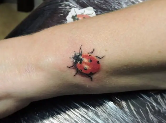 3D Ladybug Tattoo