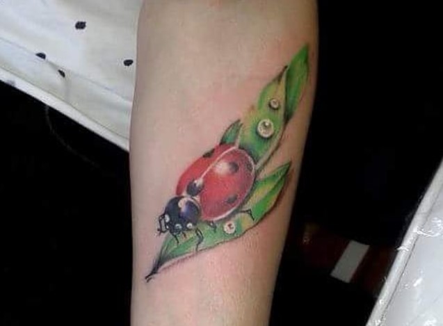 3D Ladybug on a leaf Tattoo on the forearm