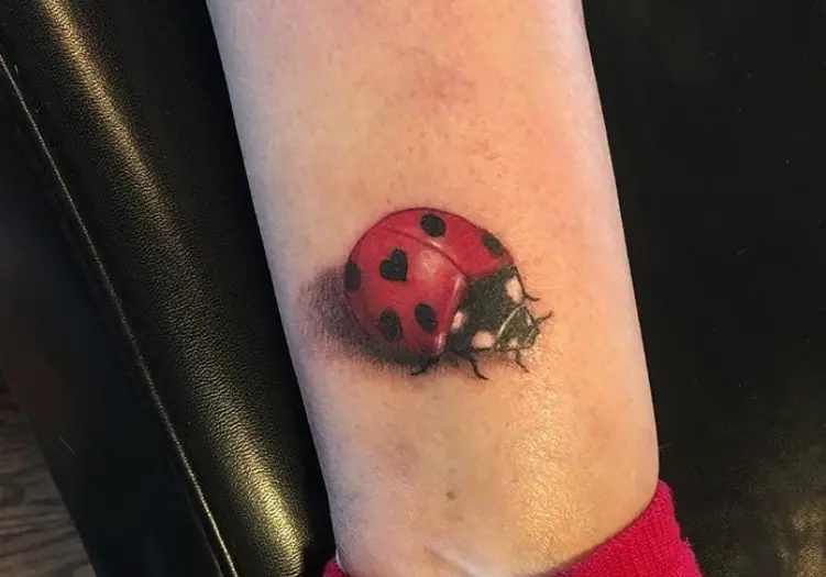 3D Ladybug Tattoo on the leg