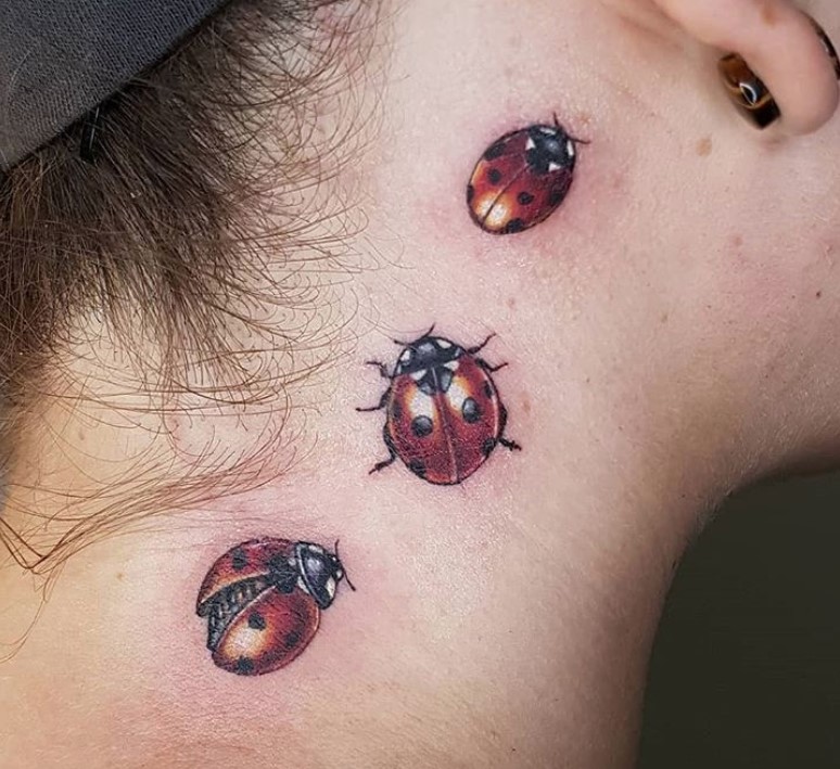 29 Phenomenal Ladybug Tattoos On Wrist  Tattoo Designs  TattoosBagcom