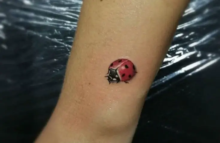 Small 3D Ladybug Tattoo