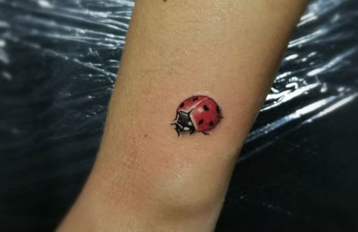 Small 3D Ladybug Tattoo