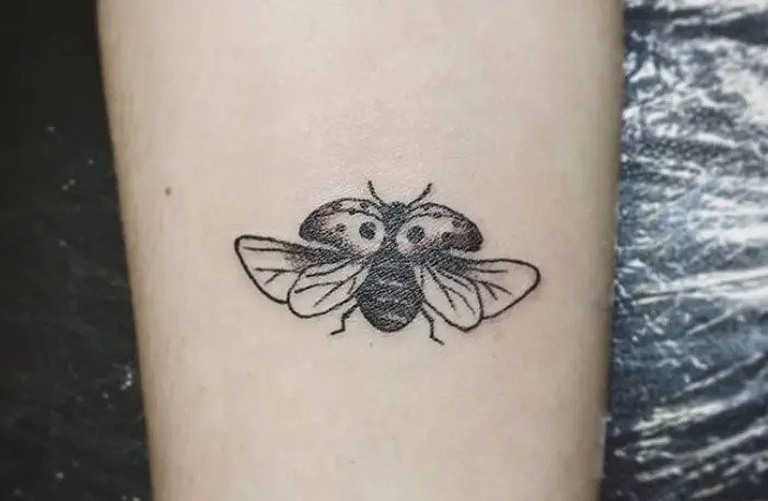 black and white Ladybug with open wings Tattoo