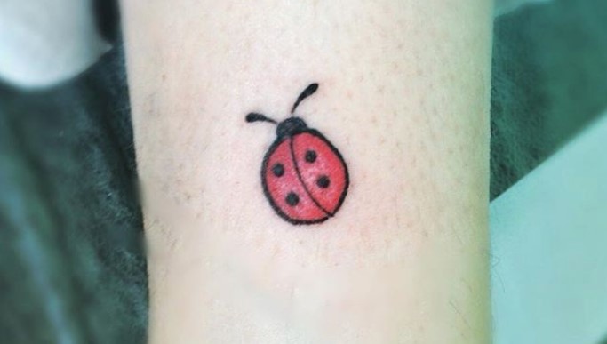 Simple ladybug tattoo.